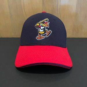 Toledo Mud Hens Baseball Hat